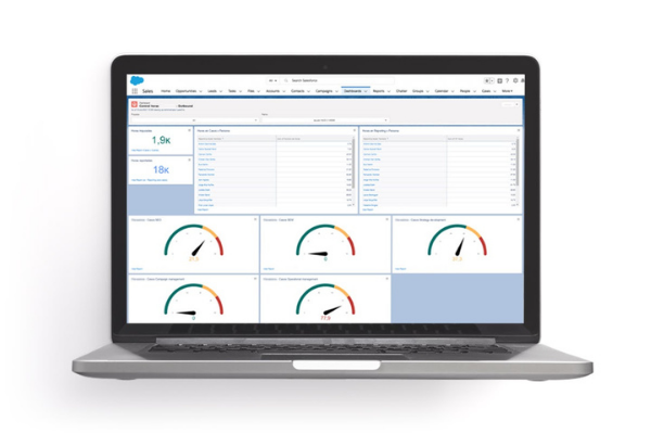 Dashboards personalizados para la gestión de proyectos Salesforce